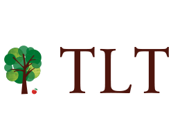 Roof Waterproofing Services